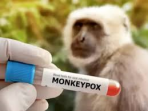 Monkey Pox Virus